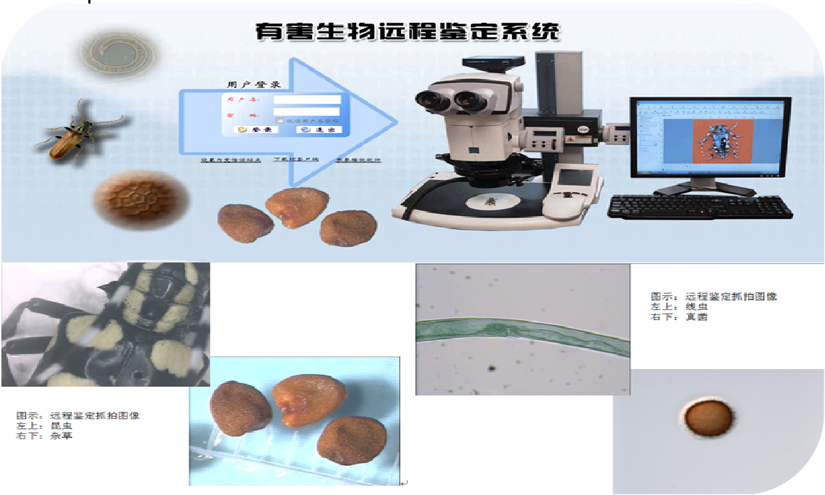 有害生物远程鉴定系统